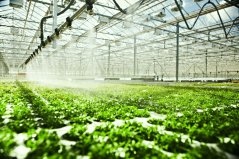 In een netwerk worden gebruikers gelinkt, bijvoorbeeld voor het hergebruik van gezuiverd afvalwater in de tuinbouw.