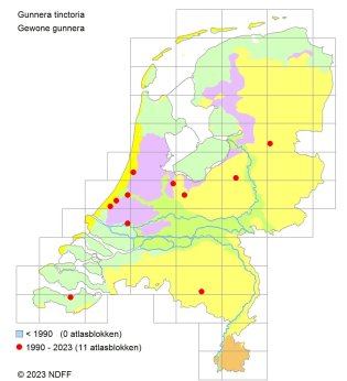 Verspreiding Gewone Gunnera over Nederland