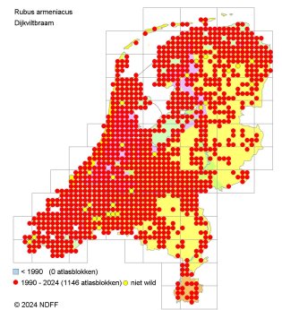 Verspreidingskaart Dijkviltbraam