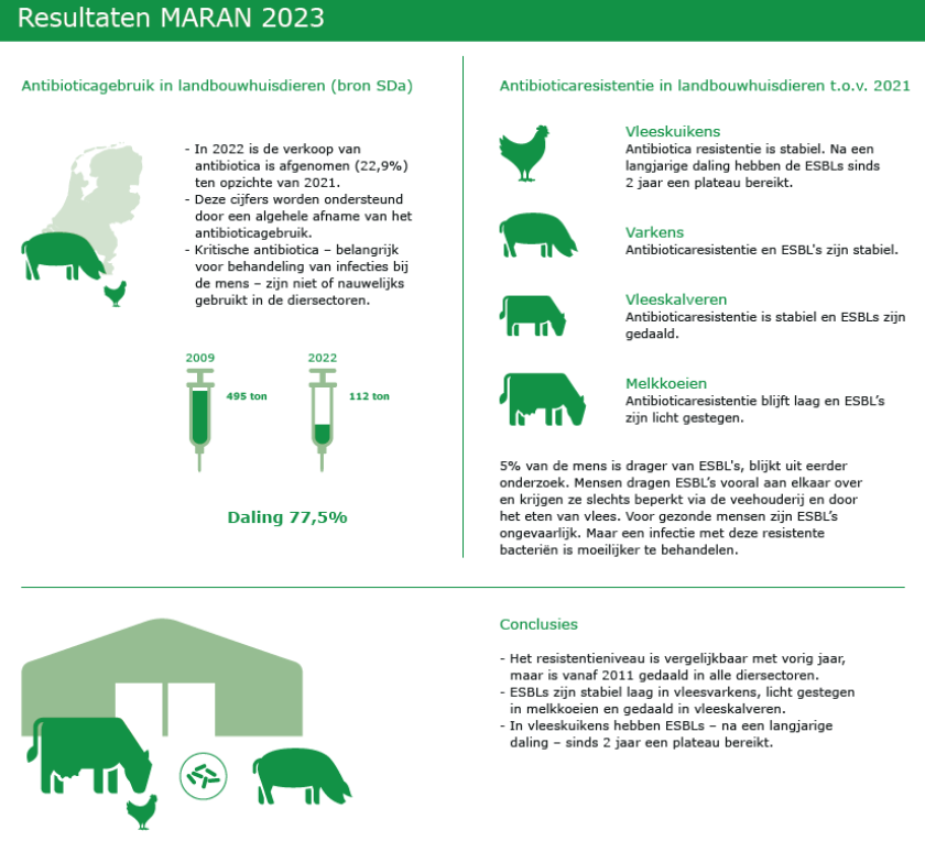 Klik op de MARAN 2023 infographic om deze te vergroten