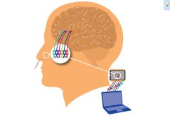 Our knowledge of the sense of smell will enable us to produce an artificial nose and programme it to detect specific substances.