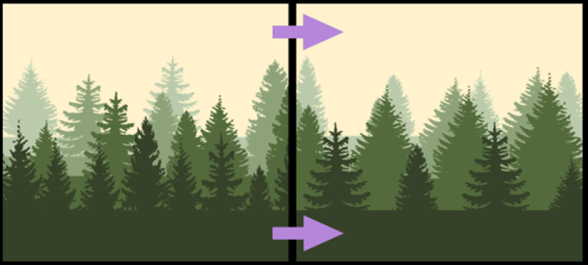 De verwachte verschuiving in boreale bossen. Links de bostypen die nu veel voorkomen: met hogere boomdichtheden in de warmere, zuidelijke zone (voorgrond, donkergroen), en lagere boomdichtheden in de koude, noordelijke zone (achtergrond, lichtgroen). Rechts de gemodelleerde verschuiving naar één soort boomdichtheid. Het type dicht boreaal bos wordt daarbij opener, en het type open boreaal bos wordt dichter.