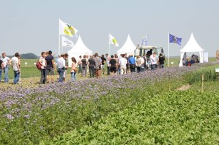 2010 demo intrarij5.JPG