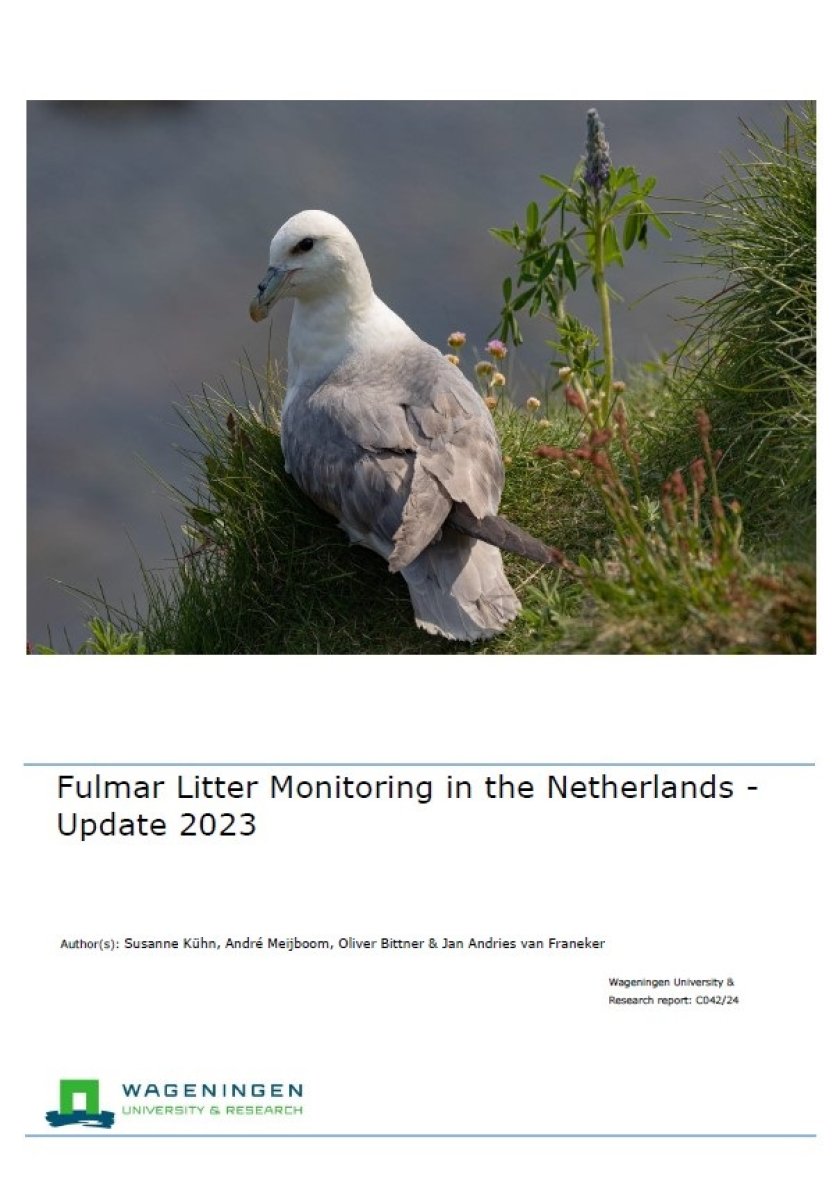 Fulmar Litter Monitoring in the Netherlands - Update 2023.jpg