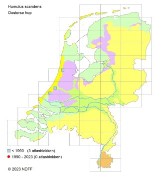 Verspreiding Oosterse hop over Nederland