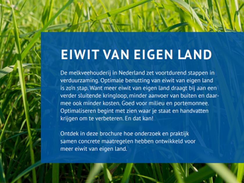 Eiwit van eigen land